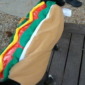 Large dog Halloween costume